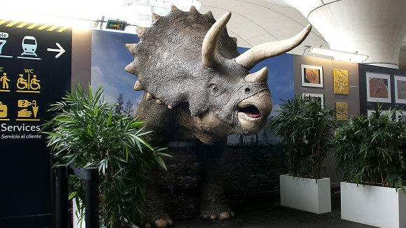 3D printed triceratops in Paris train station